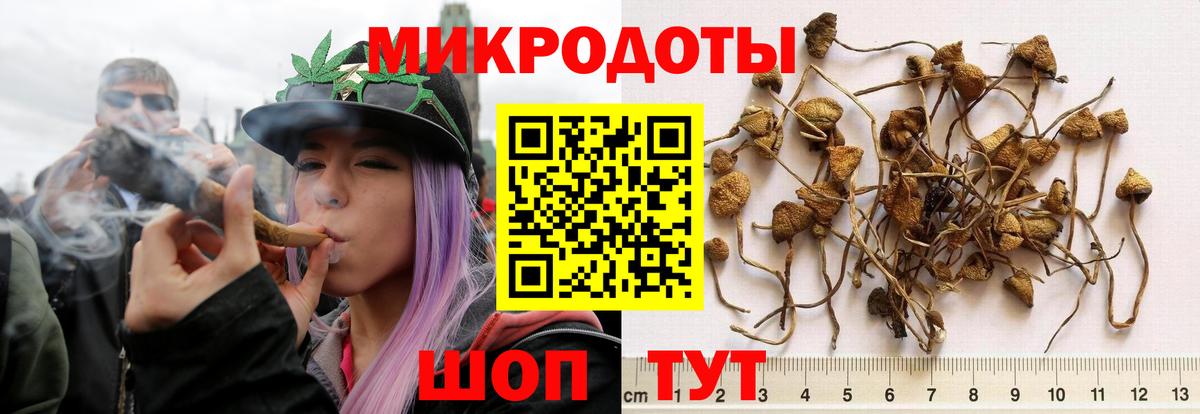 Псилоцибиновые грибы MAGIC MUSHROOMS  Вход с VPN  Галлюциногенные грибы мухоморы  где продают   Удомля 