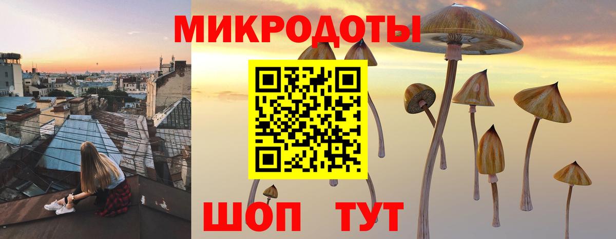 Галлюциногенные грибы прущие грибы Удомля